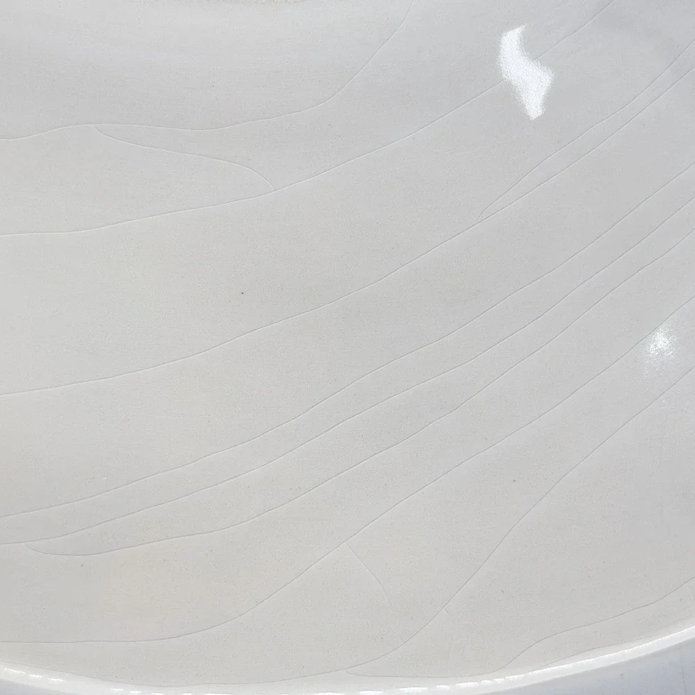 Anthropologie Vector Dinner Plate‎ 11.5